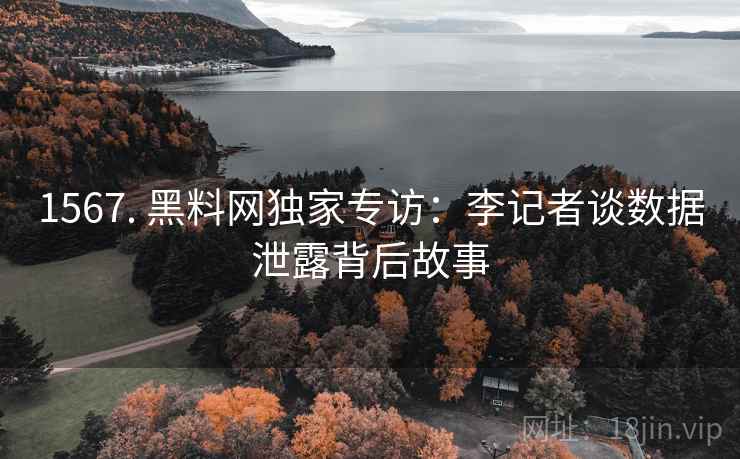 1567. 黑料网独家专访：李记者谈数据泄露背后故事